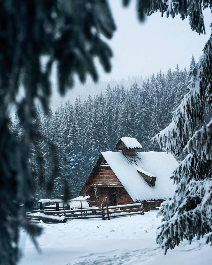 Villa Grand Skhidnytsia Extérieur photo